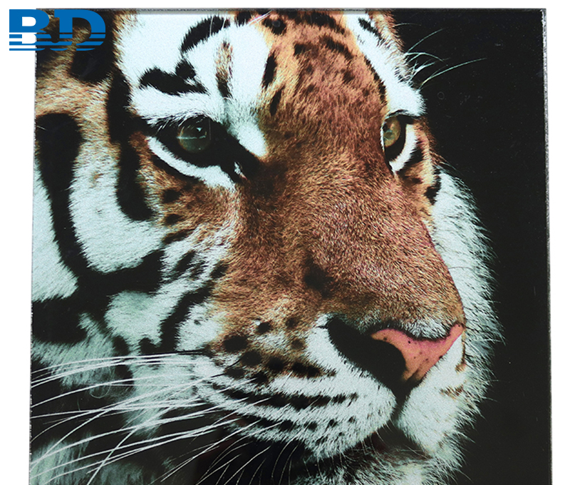 Tiger Inkjet Glass Splashback