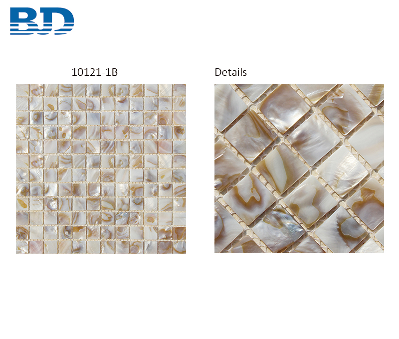 Freshwater Oil Seashell Mosaic Tile