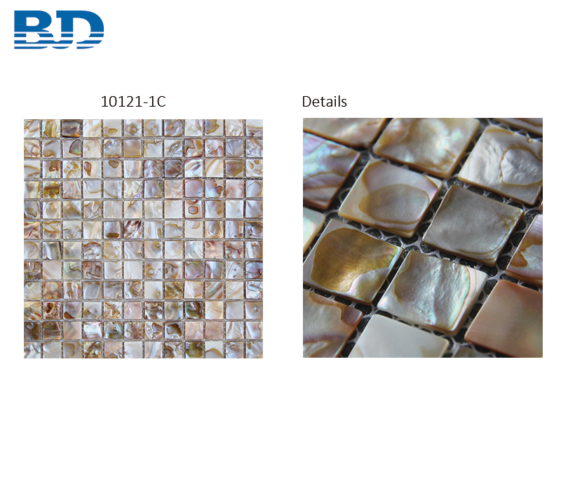 Freshwater Oil Seashell Mosaic Tile