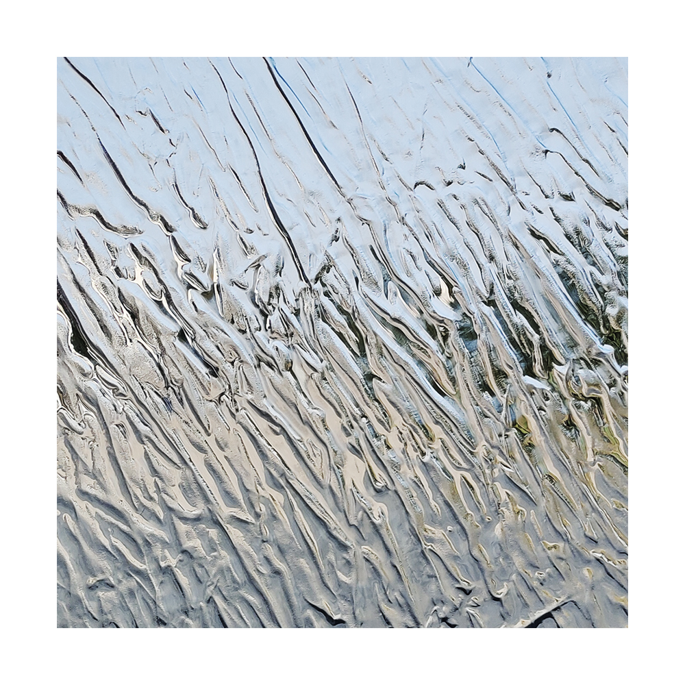 Boundless Wild view 2