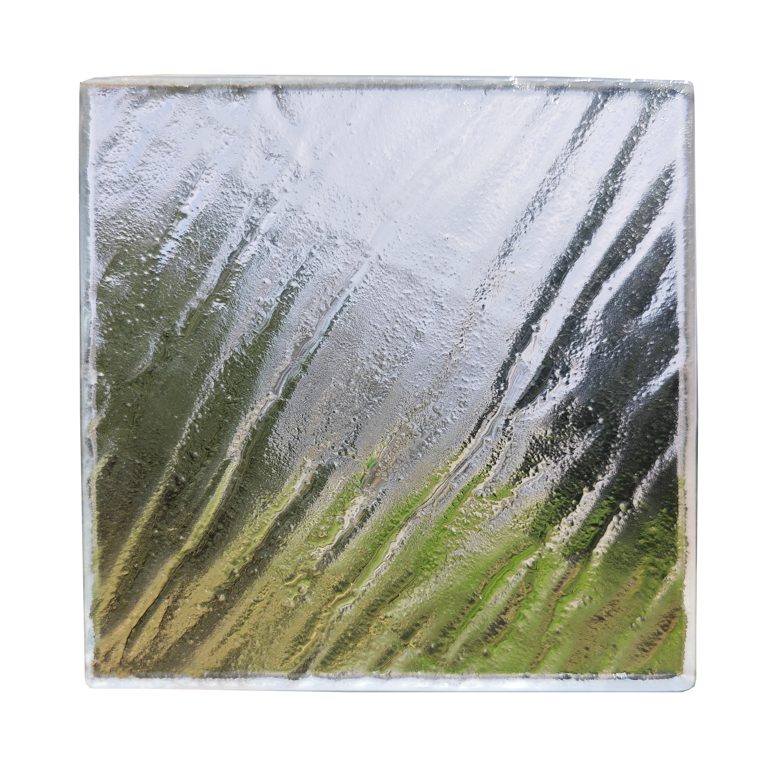 Boundless Wild view 3